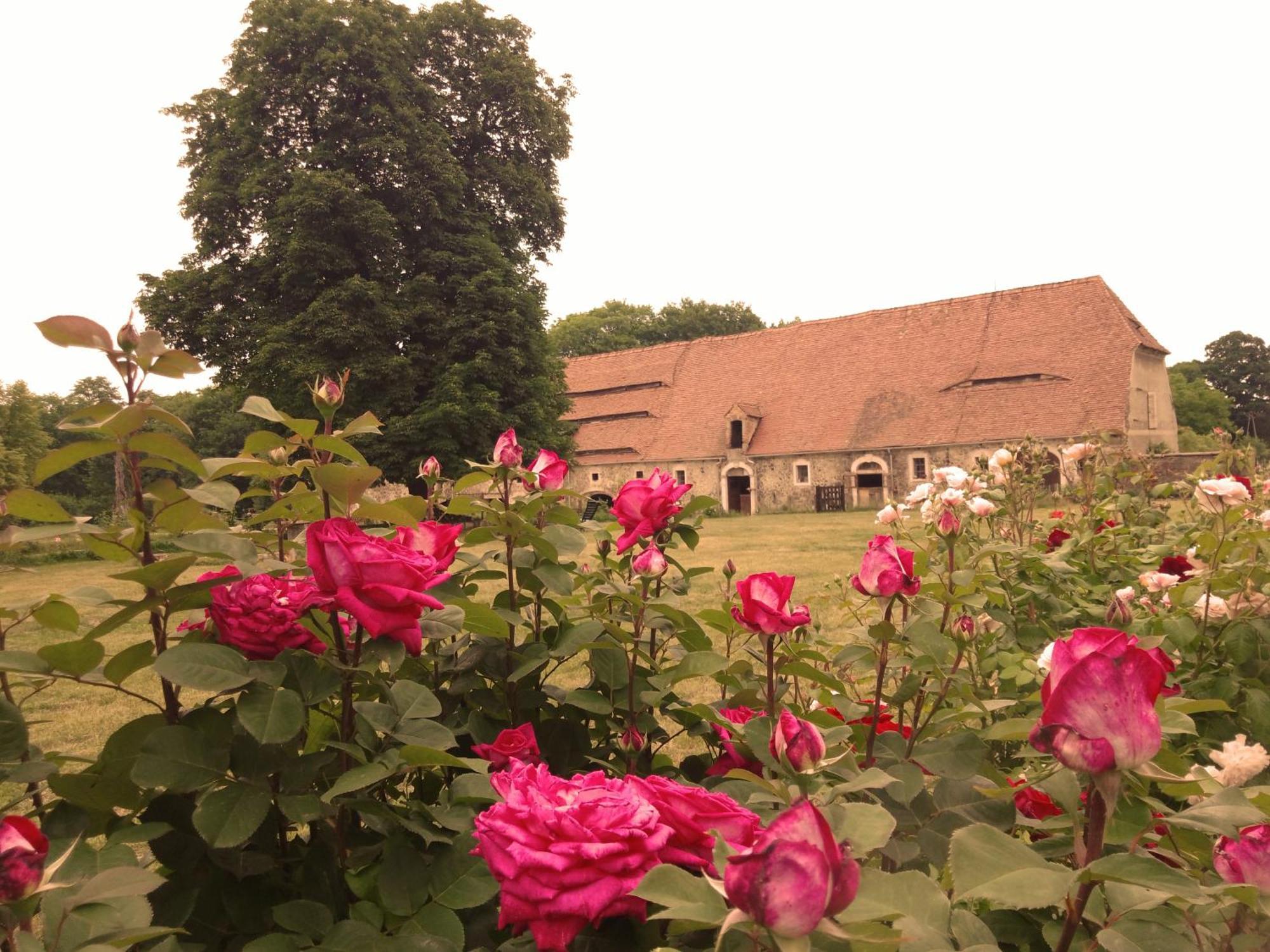 Studniska Country Estate Vila Exterior foto